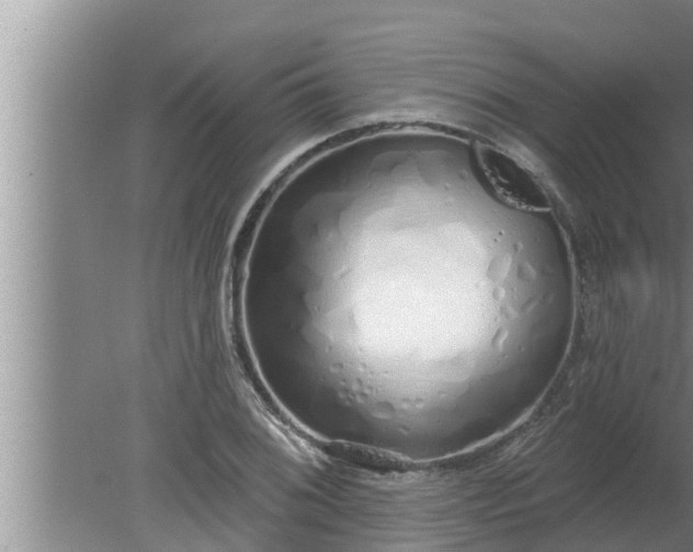 X0000080131076200612221851