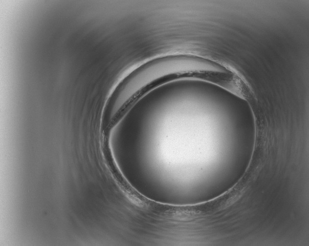 X0000080131077200612221851