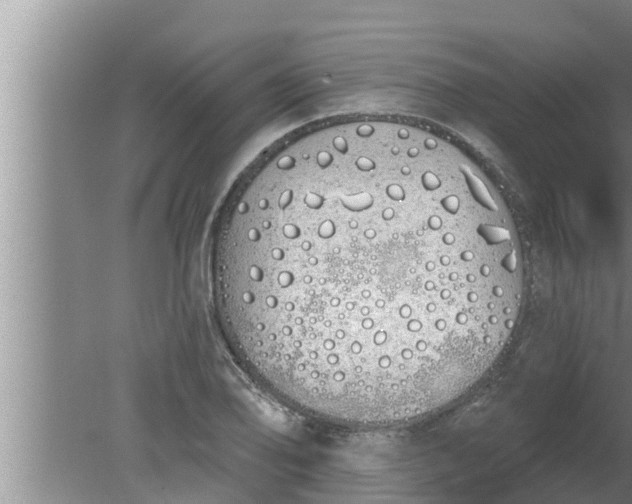 X0000080131078200612221851