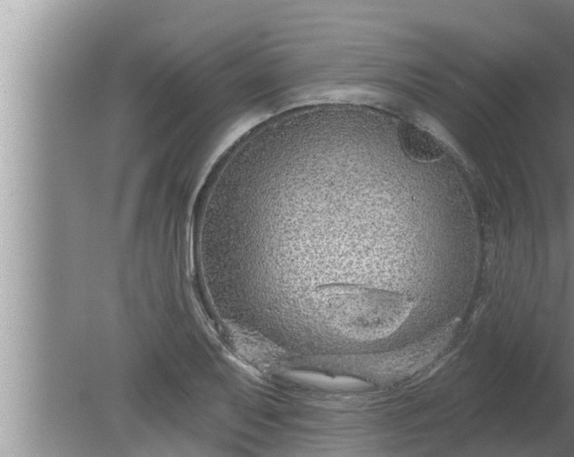 X0000080131079200612221851