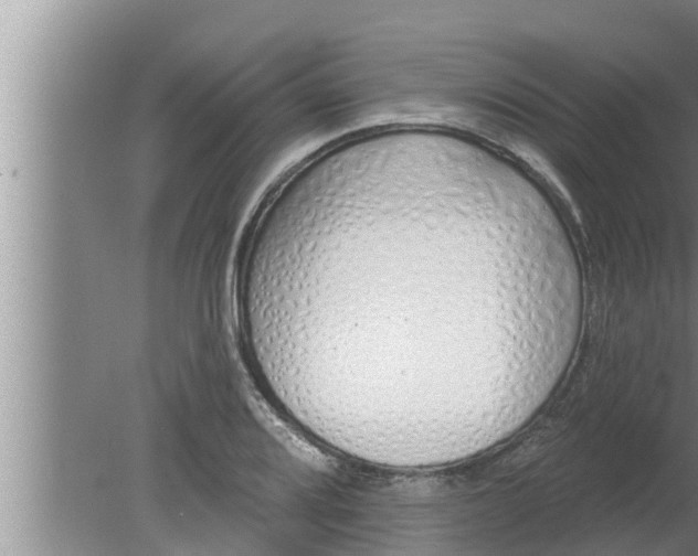 X0000080131080200612221851