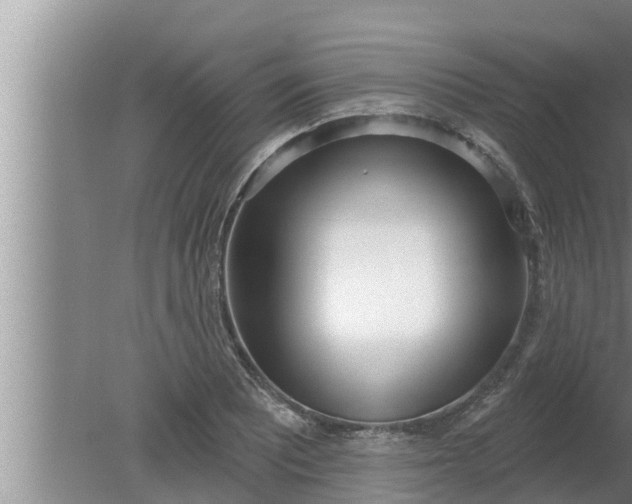 X0000080131081200612221851