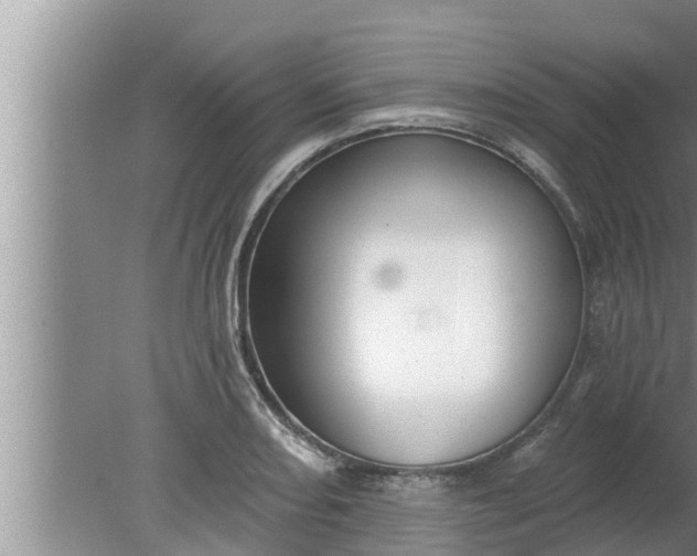 X0000080131082200612221851