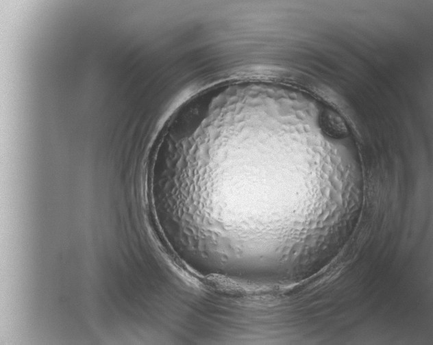 X0000080131083200612221851