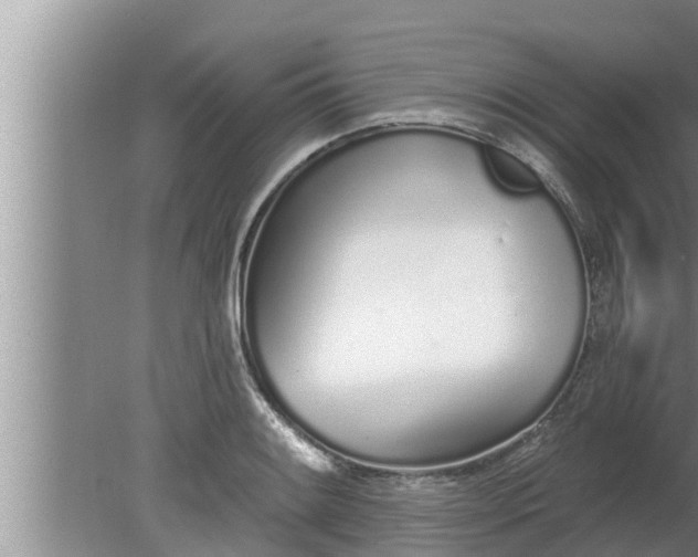 X0000080131084200612221851