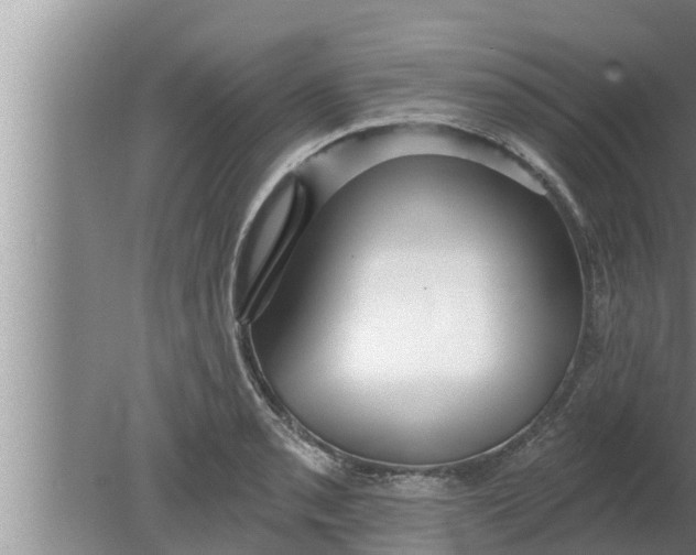 X0000080131085200612221851