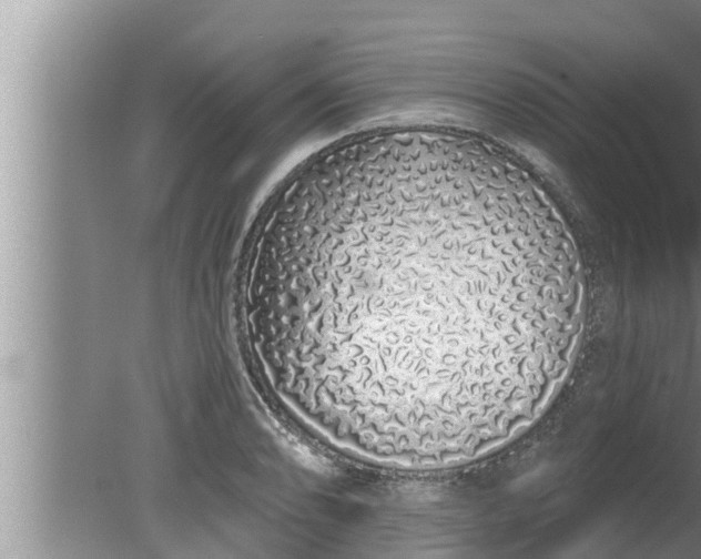 X0000080131086200612221851