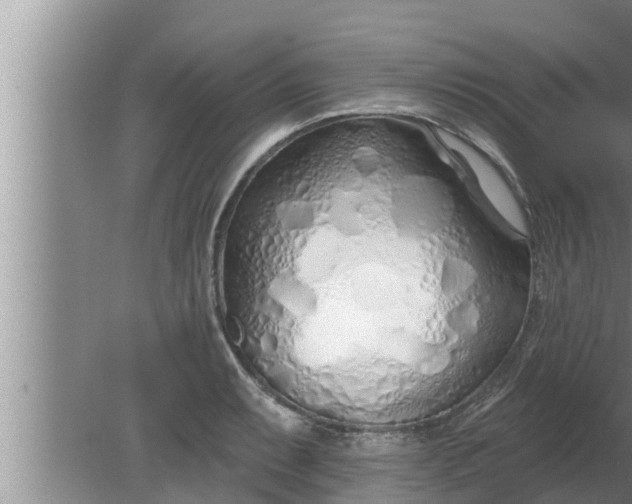 X0000080131087200612221851