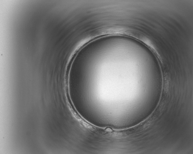 X0000080131088200612221851