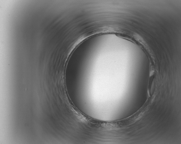 X0000080131089200612221851