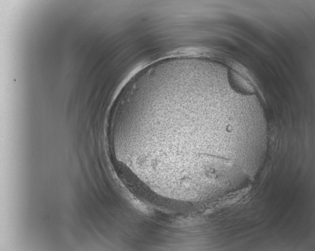 X0000080131091200612221851