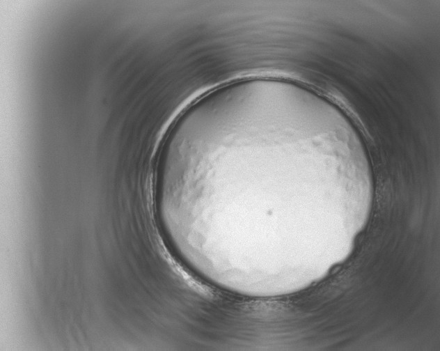 X0000080131092200612221851