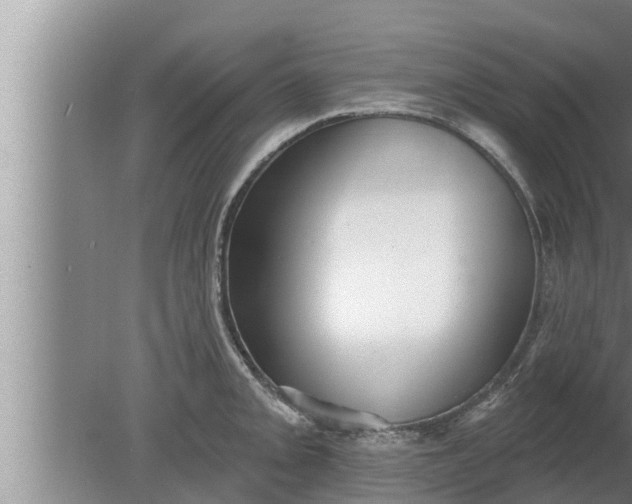 X0000080131093200612221851