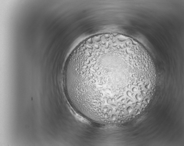 X0000080131094200612221851