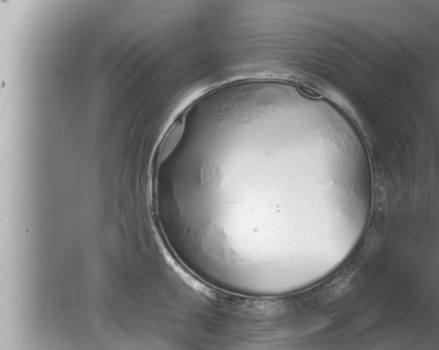 X0000080131095200612221851