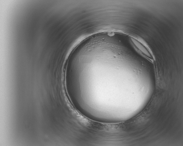 X0000080131096200612221851