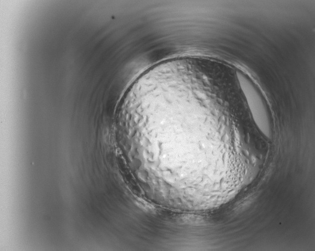 X0000080131097200612221851