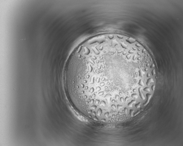 X0000080131098200612221851