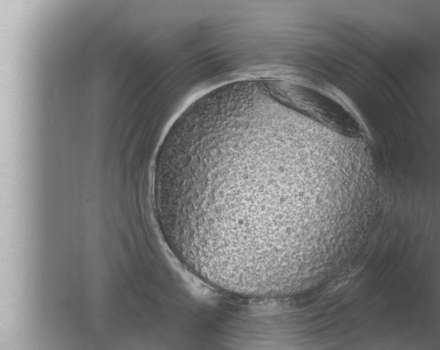 X0000080131099200612221851