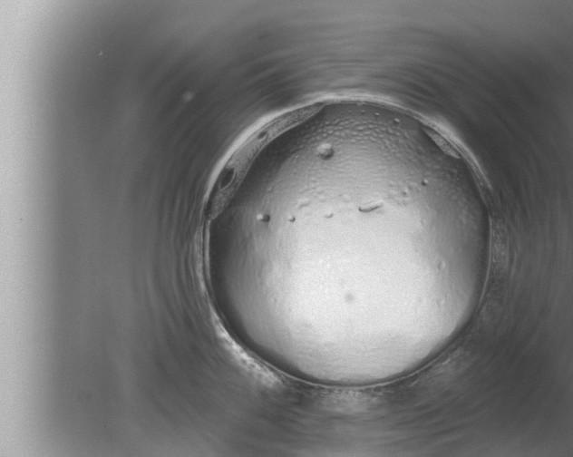 X0000080131100200612221851