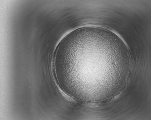 X0000080131101200612221851