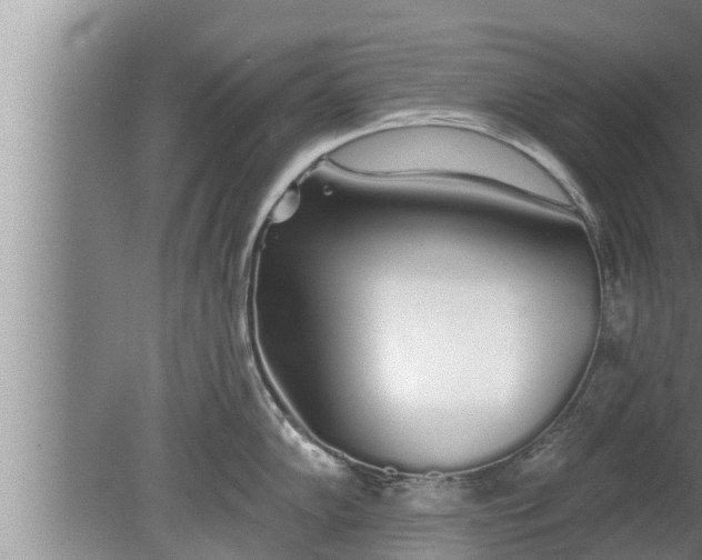 X0000080131102200612221851