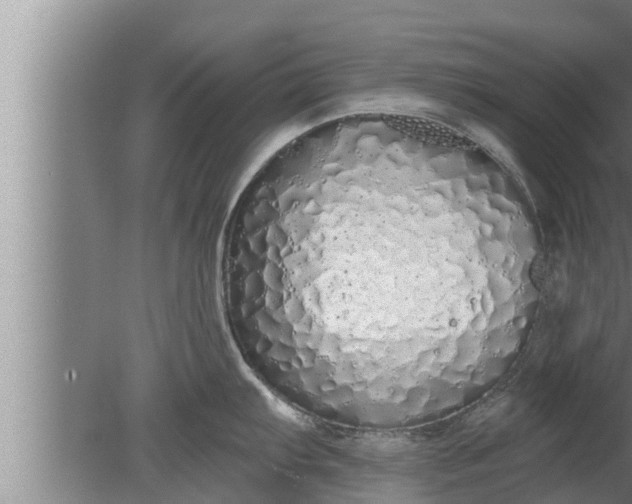 X0000080131103200612221851