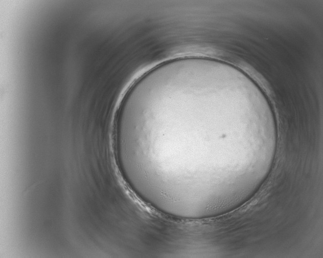 X0000080131104200612221851