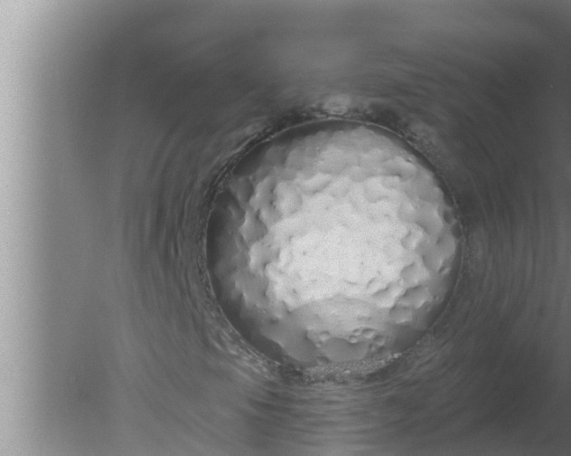 X0000080131105200612221850