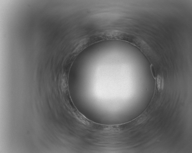 X0000080131107200612221850