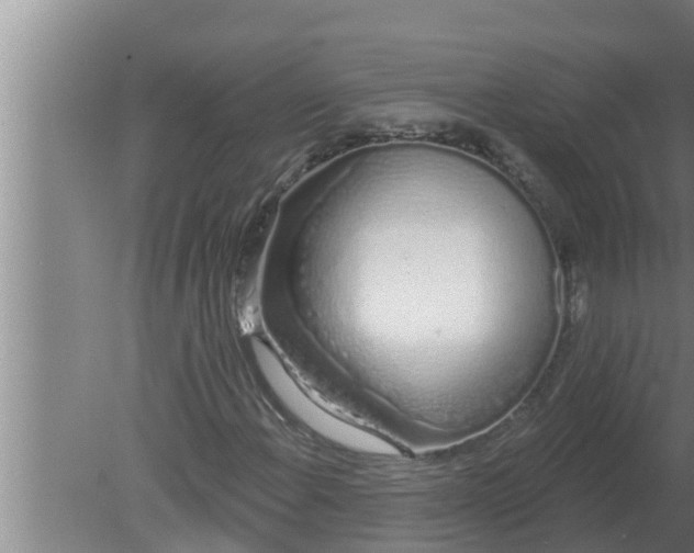 X0000080131108200612221850