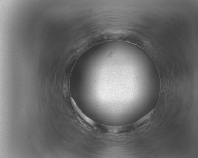 X0000080131109200612221850