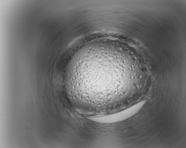 X0000080131110200612221850