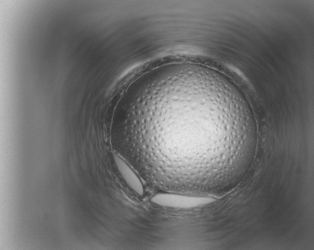 X0000080131112200612221850