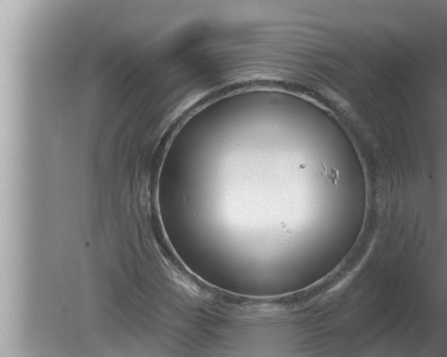 X0000080131113200612221850