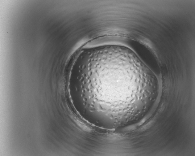 X0000080131114200612221850