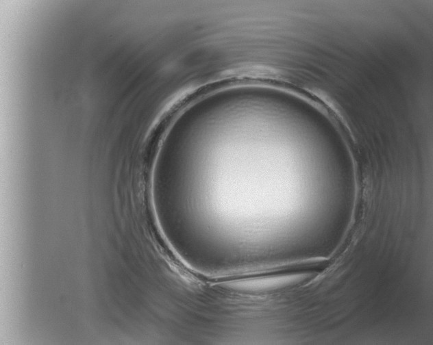 X0000080131115200612221850