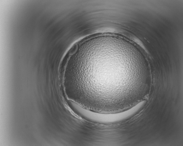 X0000080131116200612221850