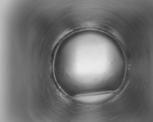 X0000080131117200612221850