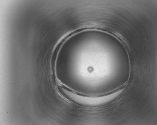 X0000080131120200612221850