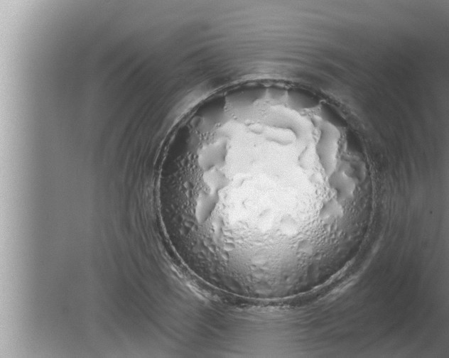 X0000080131121200612221850