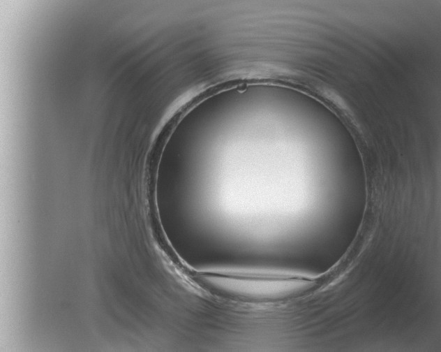 X0000080131122200612221850