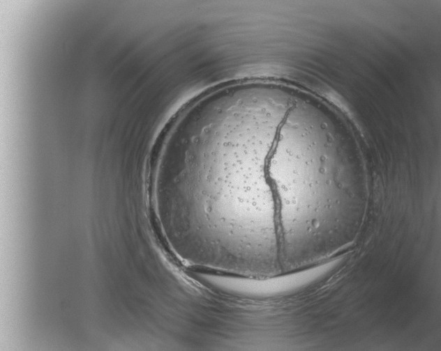 X0000080131124200612221850