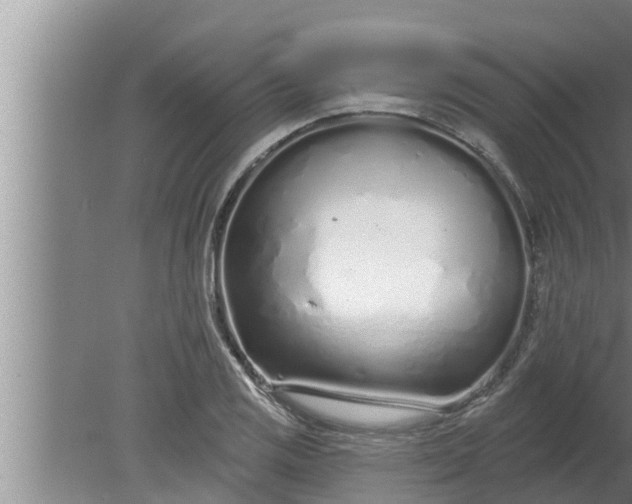 X0000080131125200612221850