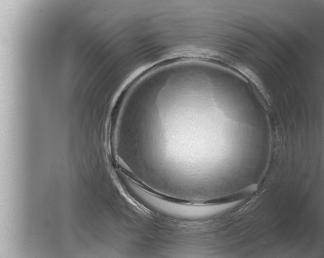 X0000080131128200612221850