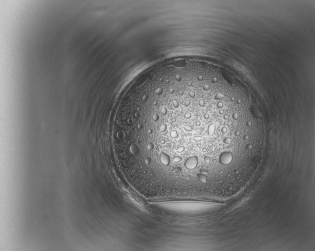 X0000080131129200612221850