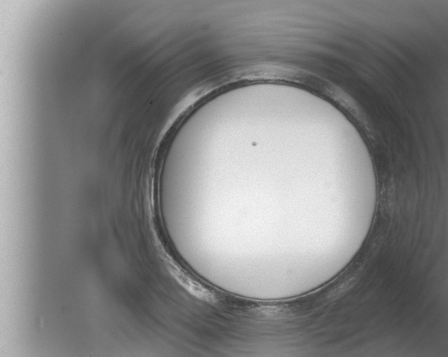 X0000080131130200612221850