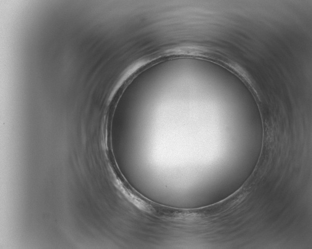 X0000080131131200612221850