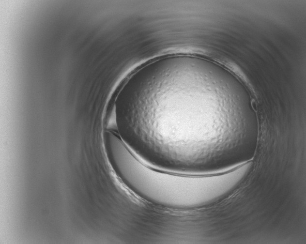 X0000080131132200612221850