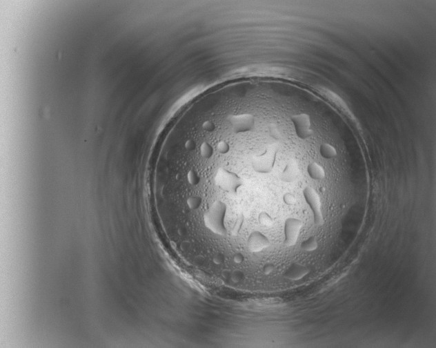 X0000080131133200612221850